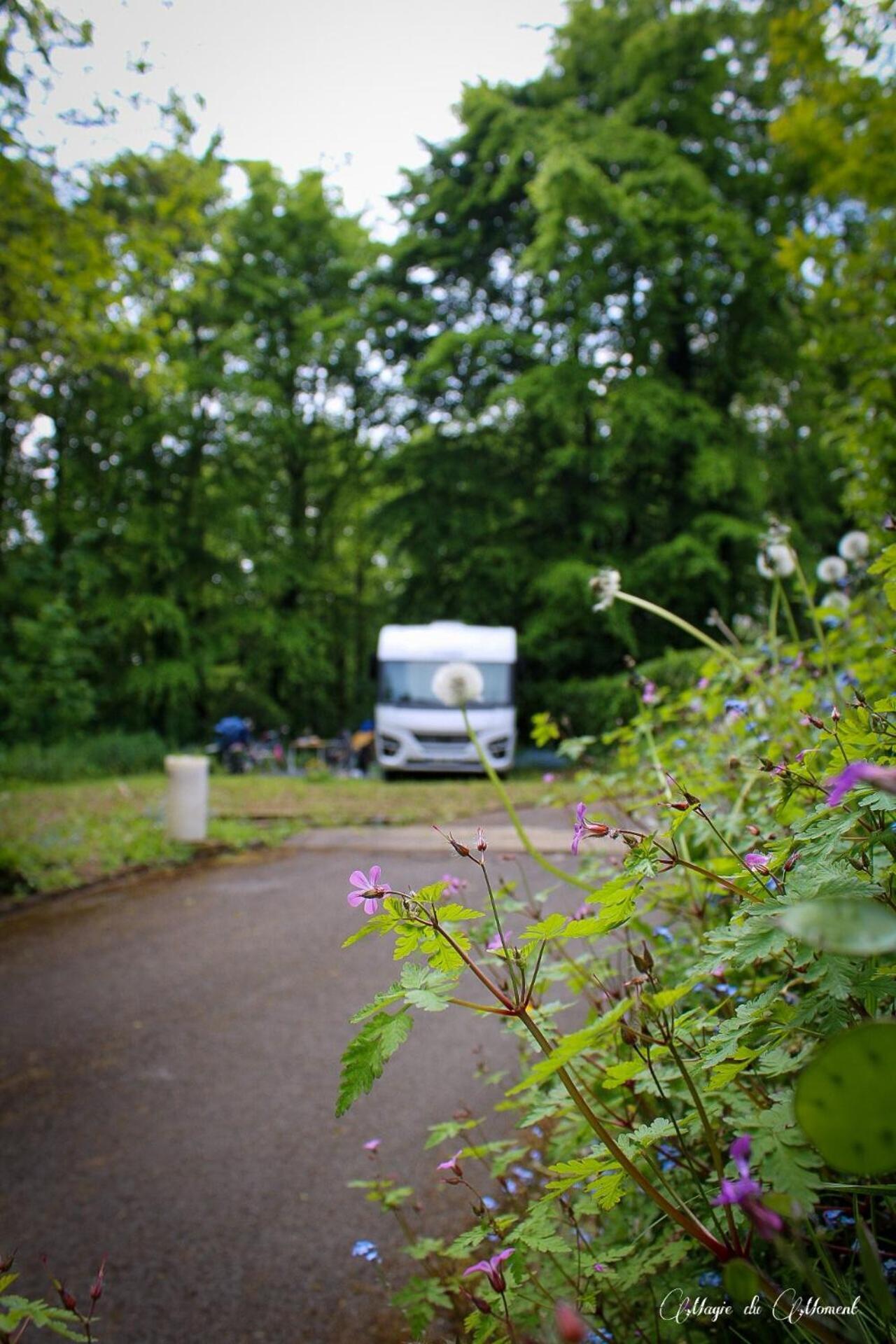 Camping La Sabliere Saint-Jans-Cappel Ngoại thất bức ảnh
